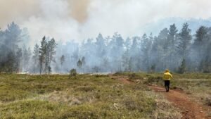 Forest firefighters working in Sierra de Bahoruco National Park