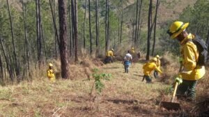 Forest firefighters responding to wildfire prevention efforts in the Dominican Republic