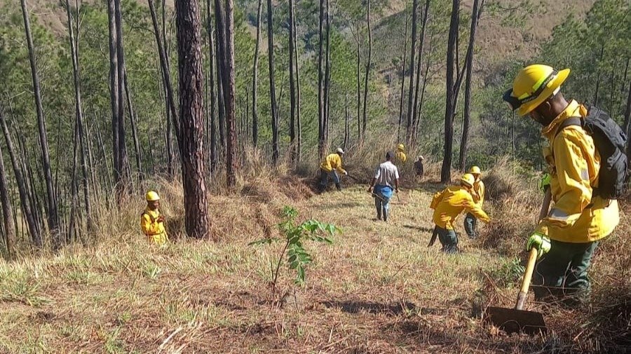 Forest firefighters responding to wildfire prevention efforts in the Dominican Republic