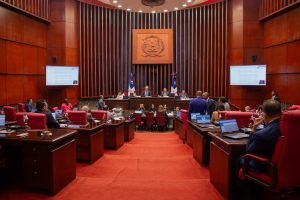 Dominican Republic Senate during debate on police reform legislation
