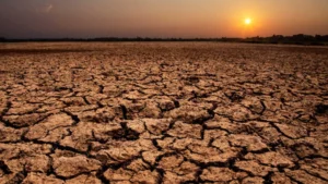 Dry landscape showing drought conditions that could affect Earth's future plant life