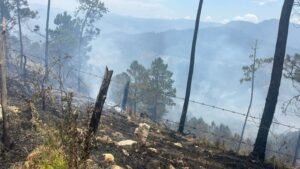 Forest fire damage in San José de Ocoa province