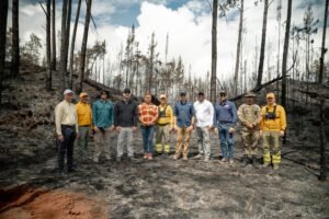 Forest firefighters monitoring the Sierra de Bahoruco wildfire area