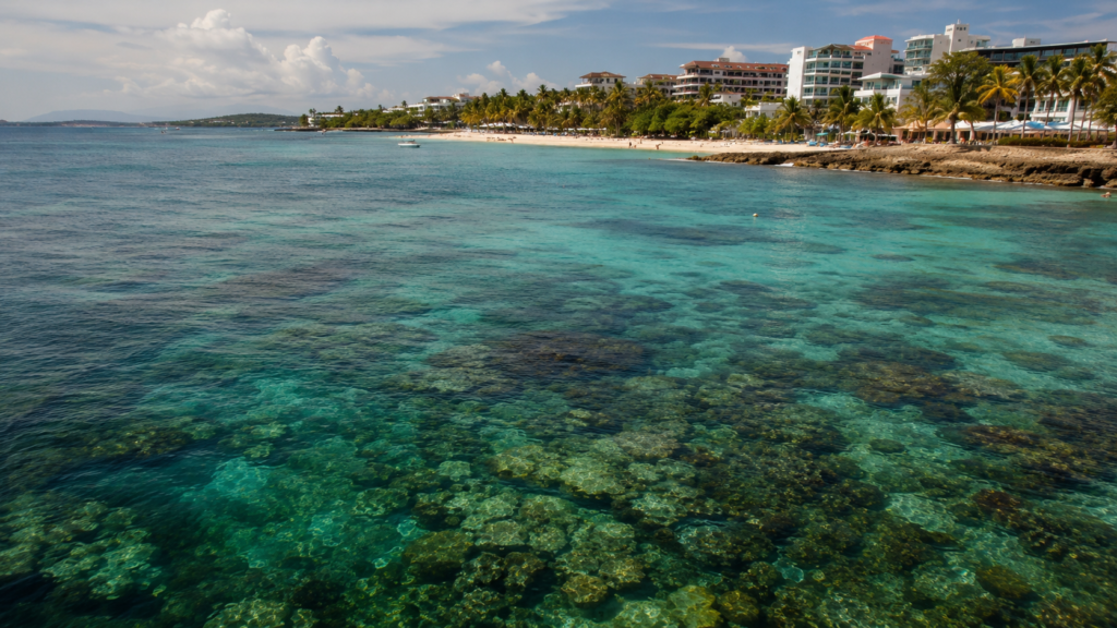 Dominican Republic coastline and coral reef