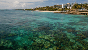 Dominican Republic coastline and coral reef