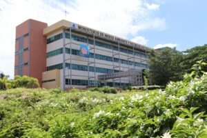 Forest area in the Dominican Republic affected by alleged environmental damage
