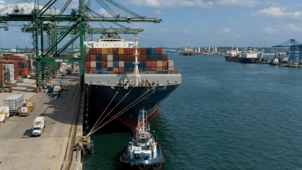 Container ships and cargo vessels operating at major Dominican Republic ports