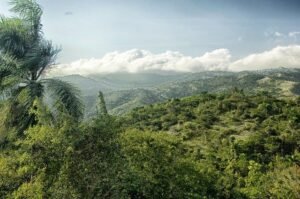 Dominican Republic forest and protected national park landscape