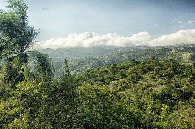 Dominican Republic forest and protected national park landscape