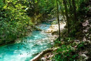 Environmental officials dismantle water extraction equipment along Río Partido