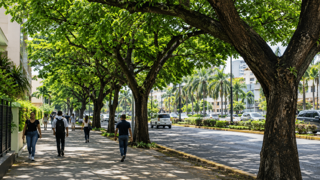 Urban trees providing shade along a public street in Santo Domingo