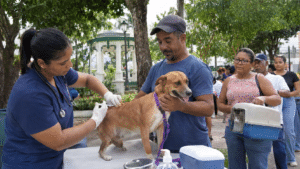 Veterinarian vaccinates a dog during a free rabies campaign in Puerto Plata, Dominican Republic